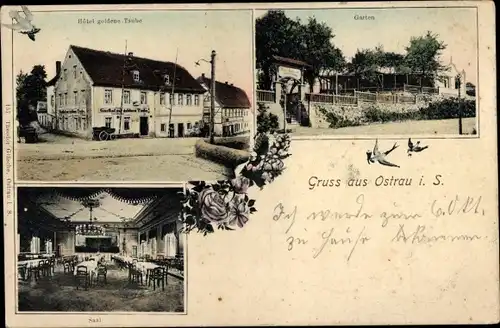 Ak Ostrau in Sachsen, Hotel goldene Taube, Garten, Saal