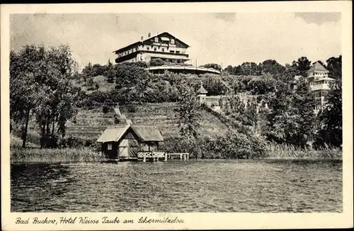 Ak Buckow in der Märkischen Schweiz, Hotel Weiße Taube am Schermützelsee