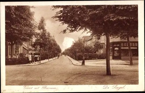 Ak Bussum Nordholland Niederlande, De Singel