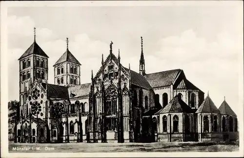 Ak Münster in Westfalen, Dom