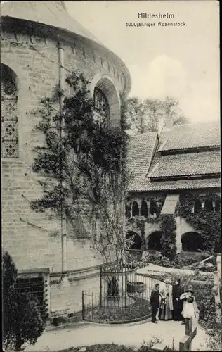 Ak Hildesheim in Niedersachsen, 1000jähriger Rosenstock, Gauverbandstag 1914