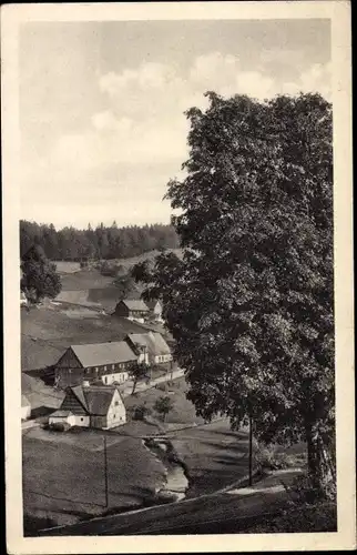 Ak Rehefeld Zaunhaus Altenberg im Erzgebirge, Totalansicht