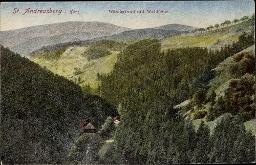Ak Sankt Andreasberg Braunlage im Oberharz, Wäschgrund, Waldhaus