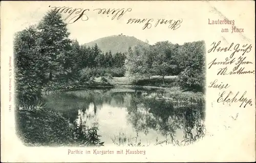 Ak Bad Lauterberg im Harz, Kurgarten, Hausberg