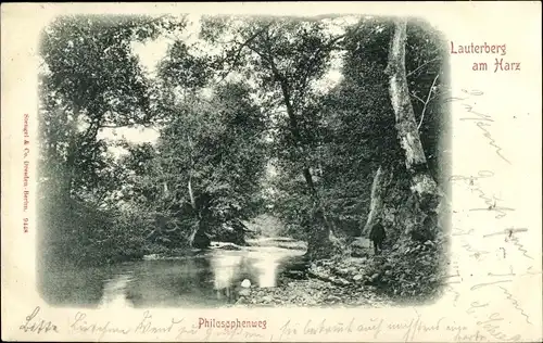 Ak Bad Lauterberg im Harz, Philosophenweg