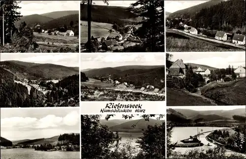 Ak Riefensbeek Kamschlacken Osterode am Harz, Panorama, Teilansichten