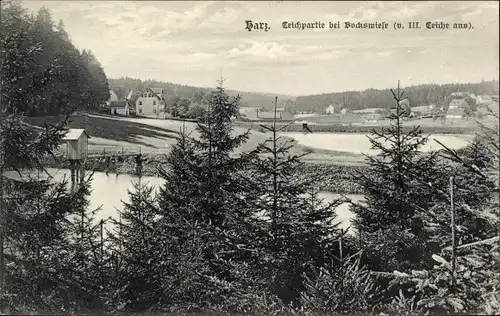 Ak Hahnenklee Bockswiese Goslar Harz, Teilansicht, Teiche