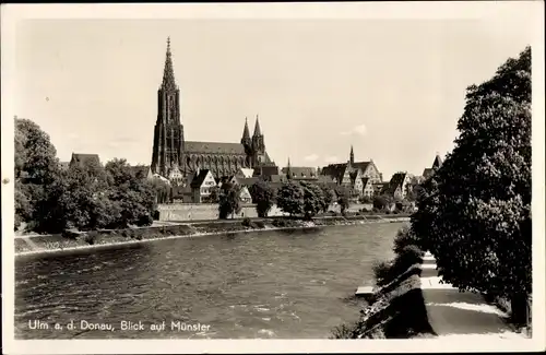 Ak Ulm an der Donau, Münster