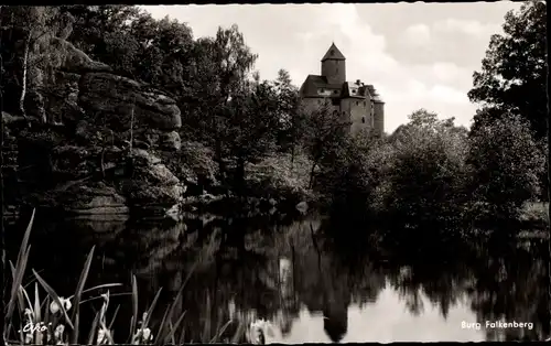 Ak Wiesau in der Oberpfalz, Burg Falkenberg