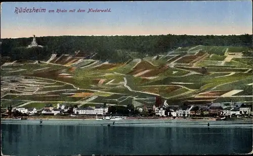 Ak Rüdesheim am Rhein, Panorama, Niederwald Nationaldenkmal