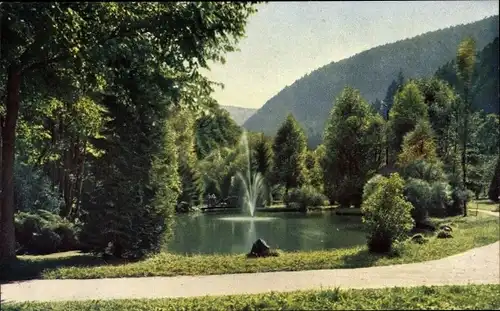 Ak Bad Liebenzell im Schwarzwald, König Wilhelm-Anlagen, Wasserfontäne