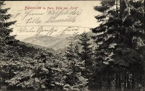 Ak Hahnenklee Bockswiese Goslar im Harz, Blick von Rolle