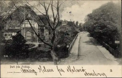 ak Fridhem Schweden, Straßenpartie, Haus