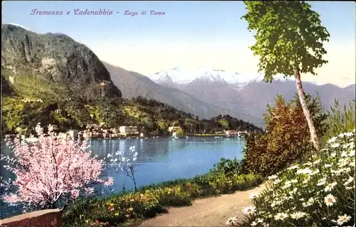 Ak Tremezzo e Cardenabbia, Lago di Como
