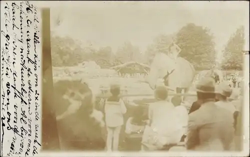 Foto Ak Basel Bâle Stadt Schweiz, Elefant, Menschengruppe