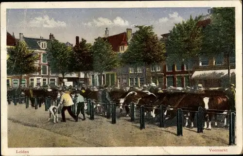 Ak Leiden Südholland Niederlande, Veemarkt