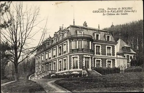 Ak Gruchet le Valasse Seine Maritime, Le Chateau des Genets