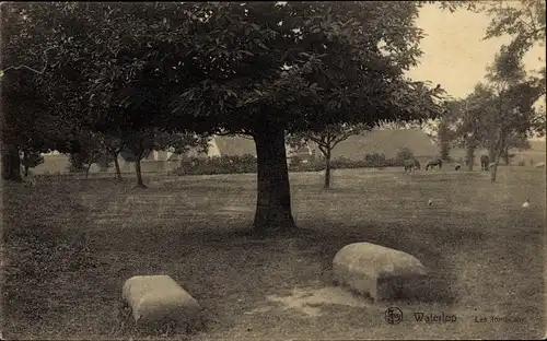 Ak Waterloo Wallonisch Brabant, Grabmale