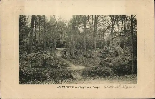 Ak Marlotte Seine et Marne, Gorge aux Loups