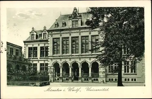 Ak Münster in Westfalen, Universität