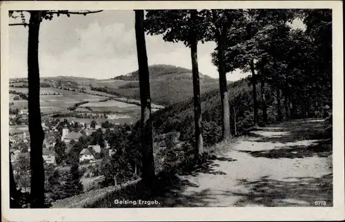 Ak Geising Altenberg im Erzgebirge, Panorama