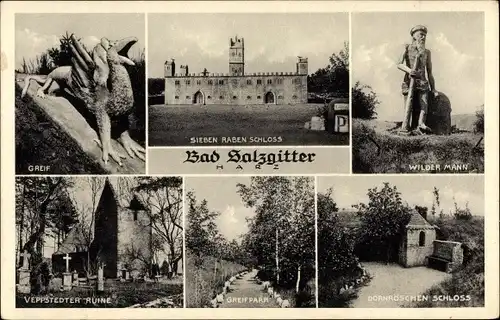 Ak Salzgitter in Niedersachsen, Sieben Raben Schloss, Wilder Mann, Greif, Ruine