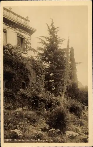 Ak Cadenabbia Griante Lombardei, Villa Margherita, Garten