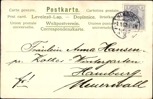 Präge Ak Glückwunsch Neujahr 1902, Glücksklee