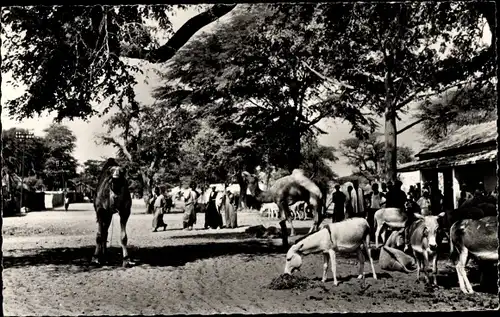 Ak-Szene des Lebens in einem afrikanischen Dorf