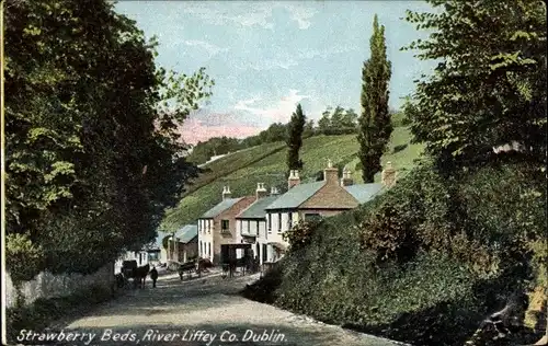 Ak Dublin Irland, Strawberry Beds, Fluss Liffey