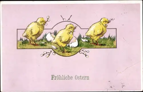 Ak Glückwunsch Ostern, Küken, Weidenkätzchen