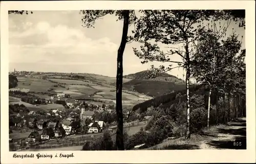 Ak Geising Altenberg im Erzgebirge, Panorama