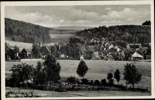 Ak Buntenbock Clausthal Zellerfeld Oberharz, Panorama