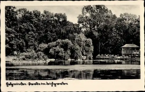 Ak Holzminden, Teichgarten