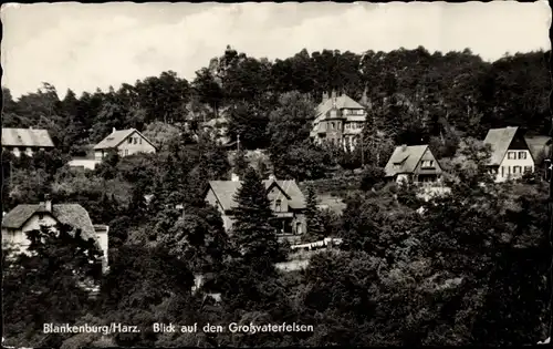 Ak Blankenburg am Harz, Großvaterfelsen