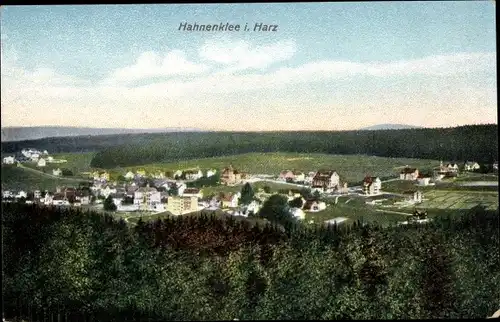 Ak Hahnenklee Bockswiese Goslar im Harz, Panorama