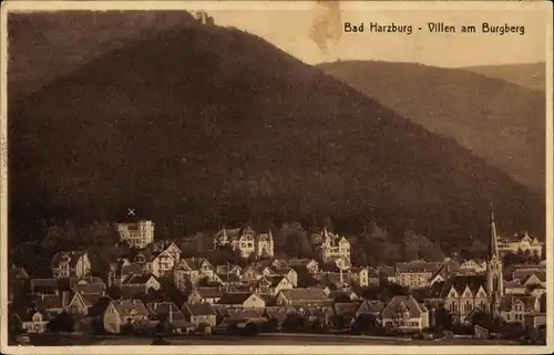 Ak Bad Harzburg am Harz, Villen, Burgberg