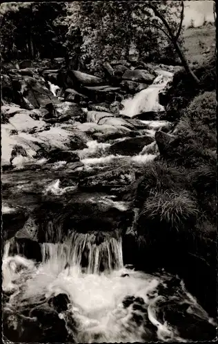 Ak Braunlage im Oberharz, Obere Bodewasserfälle