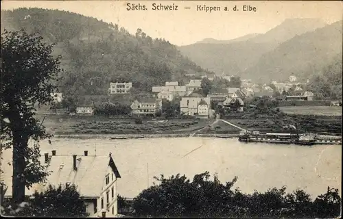 Ak Krippen Bad Schandau Sächsische Schweiz, Elbe, Panorama