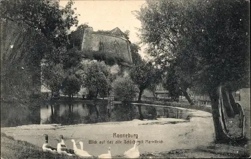 Ak Ronneburg in Thüringen, Altes Schloss, Marktteich