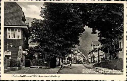 Ak Wildemann Clausthal Zellerfeld im Oberharz, Linde, Straßenpartie