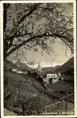 Ak S. Maddalena St. Magdalena Prazöll Bozen Bolzano Südtirol, Weinhänge, Kirche, Panorama