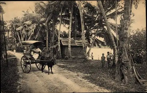 Ak Colombo Ceylon Sri Lanka, neben dem Fluss Kelaniya