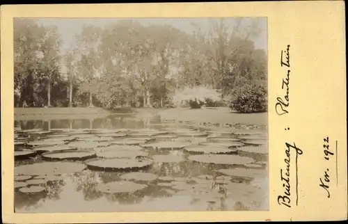 Ak Buitenzorg Bogor Java Indonesien, Seerosenbläter im Teich