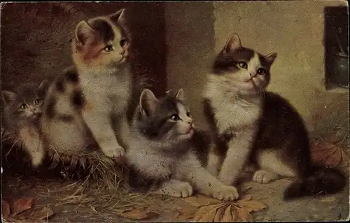 Künstler Ak Vier junge Katzen