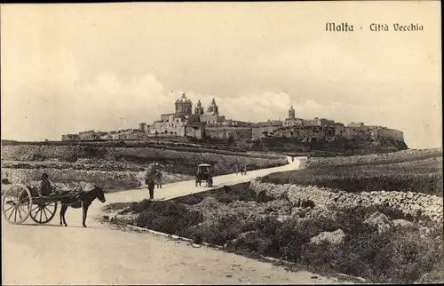 Ak Msida Malta, Panorama