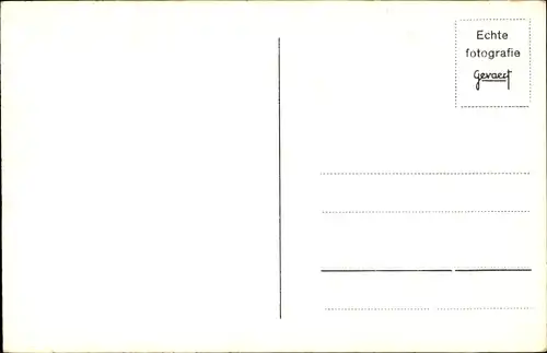 Ak Terrier, Hund, Hundeportrait