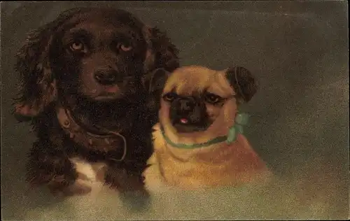 Künstler Ak Hundeportraits, zwei Hunde, Halsband