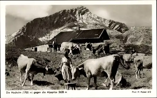 Ak Hochalt gegen die Alpspitze, Rinder, Gebirge