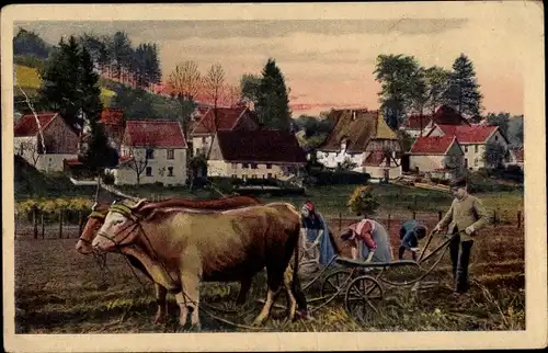 Ak Deutsche Ernte, Rinderpflug, Bauern auf dem Feld